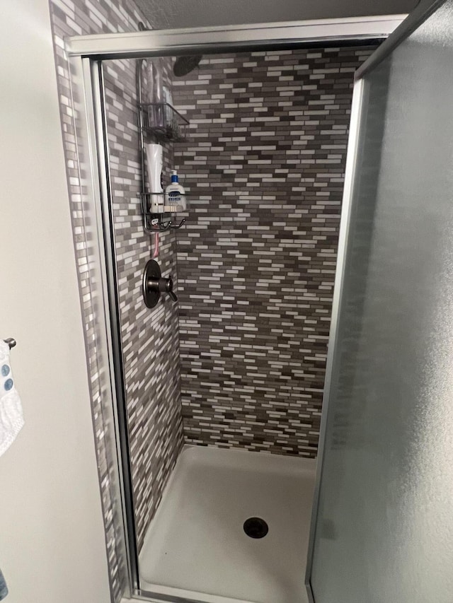 268 Yorke Trl, Grayling, MI 49738 - full bath featuring a stall shower