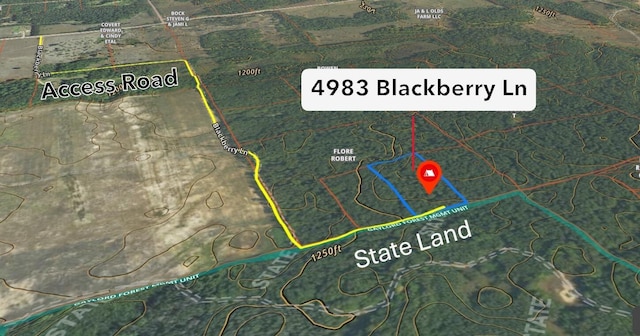 4983 Blackberry Ln, Elmira, MI 49730
