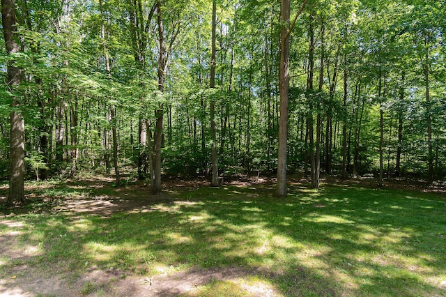 5734 Old Orchard Rd, Prudenville, MI 48651 - photo 39