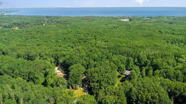 5734 Old Orchard Rd, Prudenville, MI 48651 - photo 40