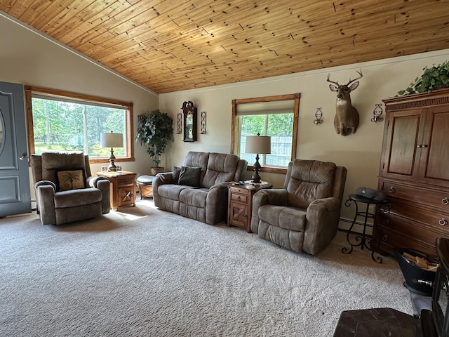 2131 Big Buck Dr, Lewiston, MI 49756 - living area with carpet floors, lofted ceiling, wooden ceiling, and a baseboard heating unit