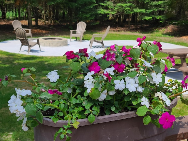 1514 Opal Lake Rd, Gaylord, MI 49735 - view of yard with a fire pit