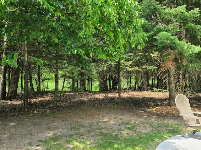 1514 Opal Lake Rd, Gaylord, MI 49735 - view of yard
