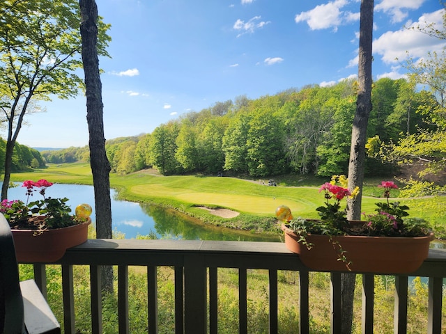 4600 Fazio Dr, Gaylord, MI 49735 - photo 3