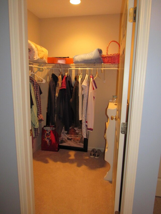 201 White Deer Trl, Prudenville, MI 48651 - walk in closet featuring carpet flooring