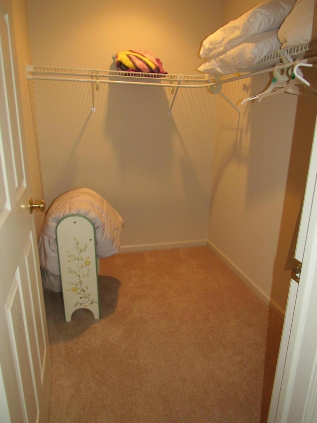 201 White Deer Trl, Prudenville, MI 48651 - spacious closet featuring carpet floors