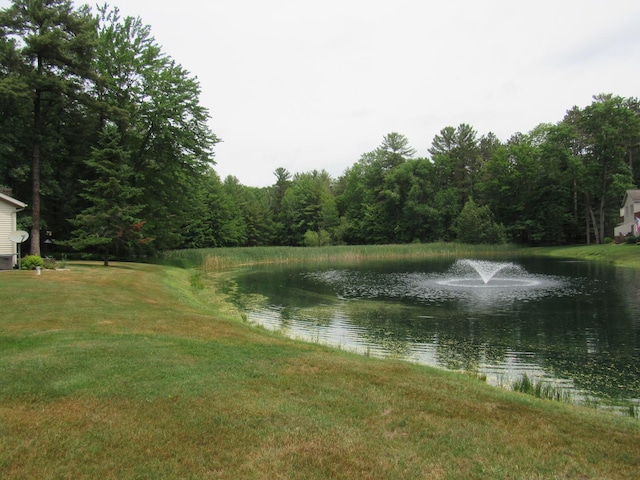 201 White Deer Trl, Prudenville, MI 48651 - water view with a heavily wooded area