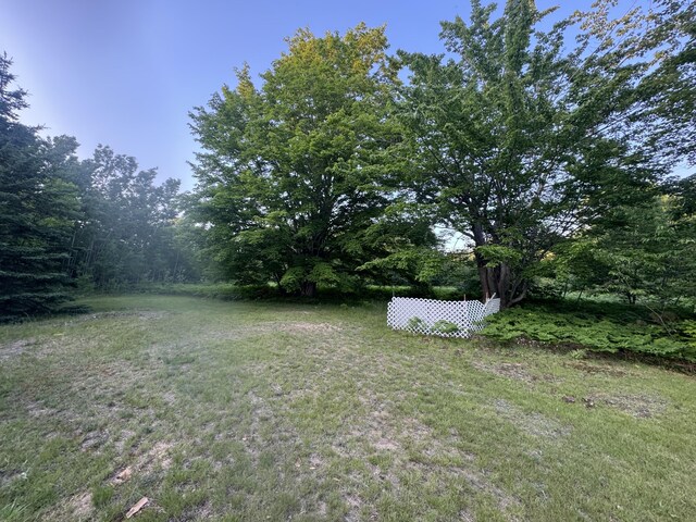 10590 N Hayes Ln, Carp Lake, MI 49718 - photo 24