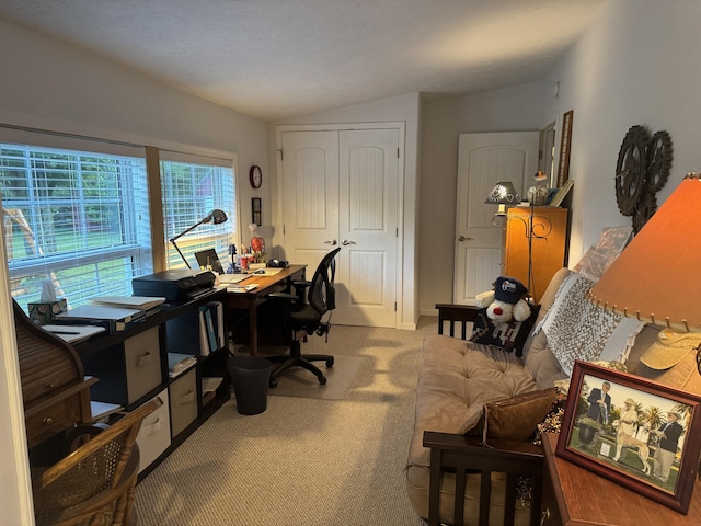 10590 N Hayes Ln, Carp Lake, MI 49718 - photo 10