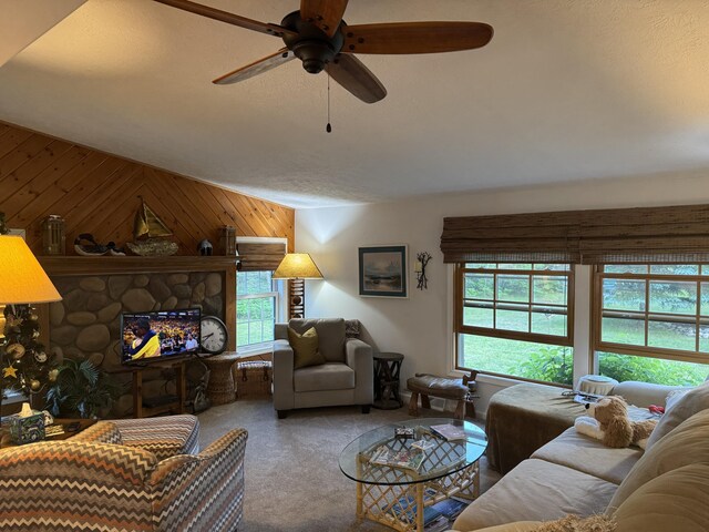 10590 N Hayes Ln, Carp Lake, MI 49718 - photo 4