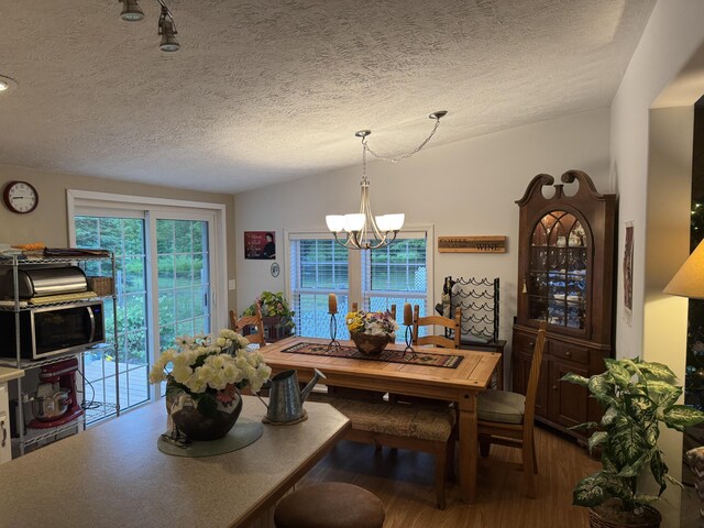 10590 N Hayes Ln, Carp Lake, MI 49718 - photo 9