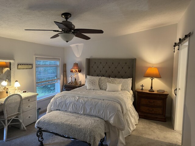 10590 N Hayes Ln, Carp Lake, MI 49718 - photo 11