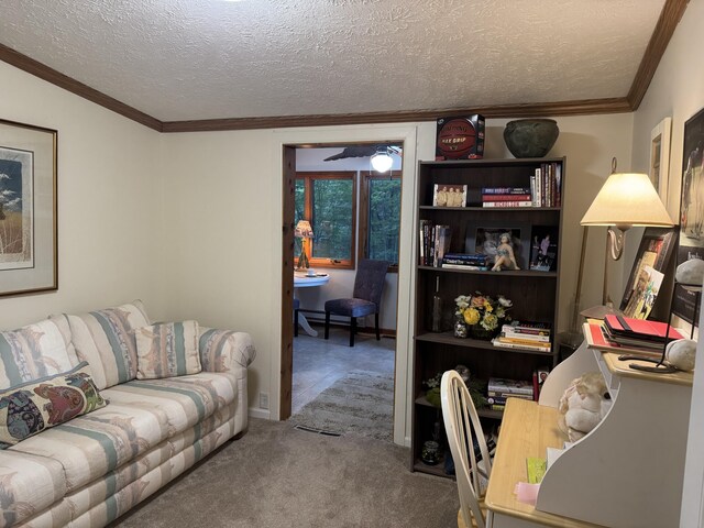 10590 N Hayes Ln, Carp Lake, MI 49718 - photo 16