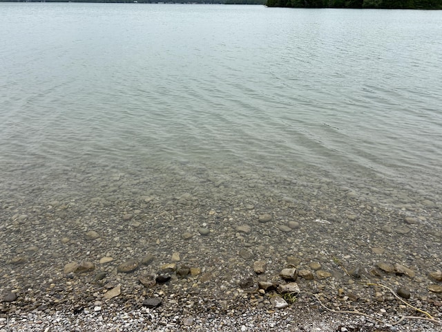 7126 Grand Point Rd, Presque Isle, MI 49777 - photo 4
