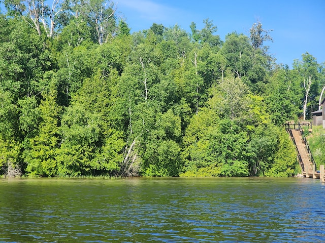 LotF Forest Drive, Cheboygan, MI 49721