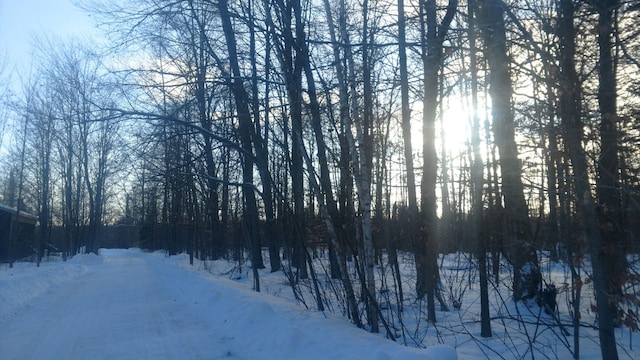 LotF Forest Drive, Cheboygan, MI 49721
