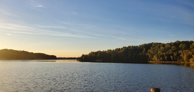 LotF Forest Drive, Cheboygan, MI 49721