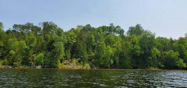 LotF Forest Drive, Cheboygan, MI 49721