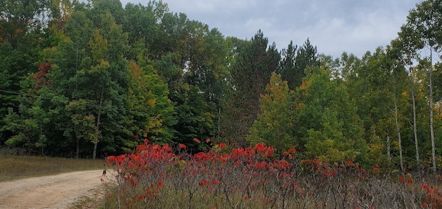 LotF Forest Drive, Cheboygan, MI 49721