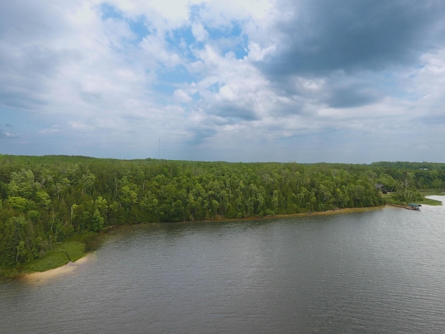 LotF Forest Drive, Cheboygan, MI 49721