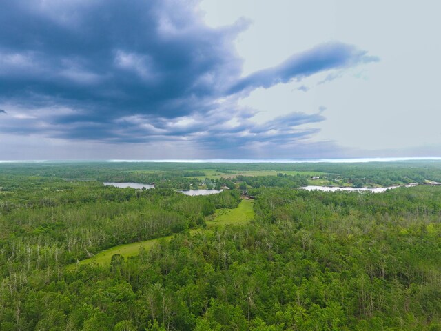 LotF Forest Drive, Cheboygan, MI 49721