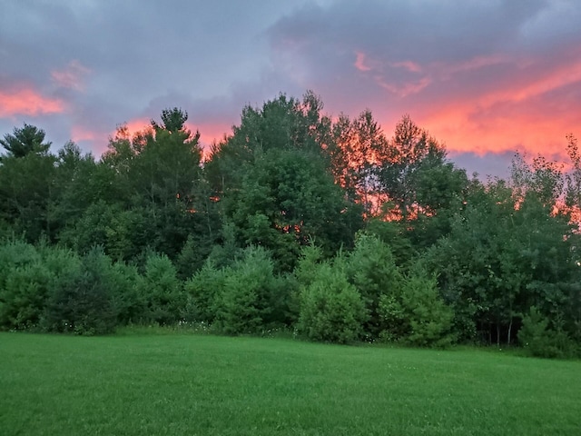 LotF Forest Drive, Cheboygan, MI 49721