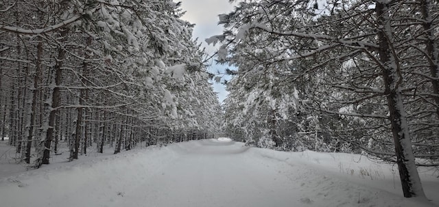 LotF Forest Drive, Cheboygan, MI 49721