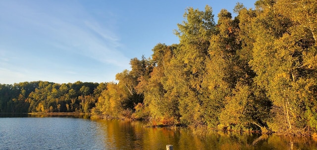 LotF Forest Drive, Cheboygan, MI 49721