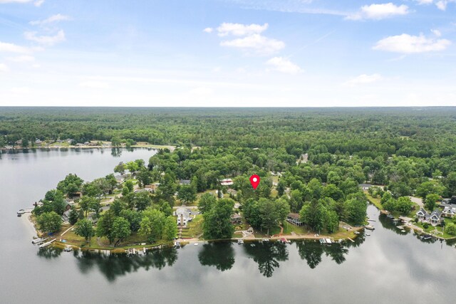 1655 Arrowhead Trl, West Branch, MI 48661 - bird's eye view of a large body of water