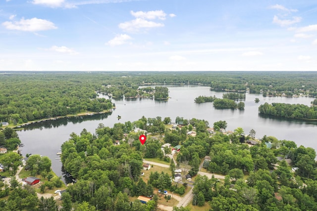 1655 Arrowhead Trl, West Branch, MI 48661 - drone / aerial view of a forest and a large body of water