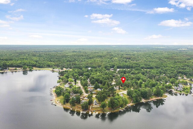 1655 Arrowhead Trl, West Branch, MI 48661 - view of property location featuring a heavily wooded area and a nearby body of water