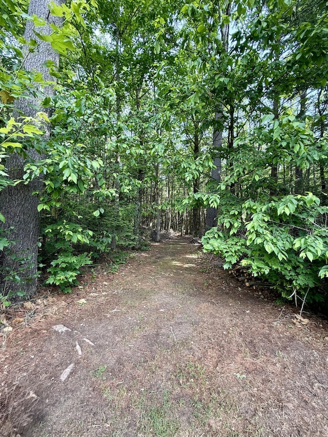2176 Deepwoods Dr, Gaylord, MI 49735 - view of yard