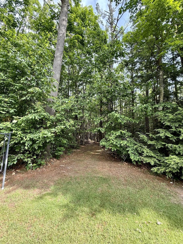 2176 Deepwoods Dr, Gaylord, MI 49735 - view of yard