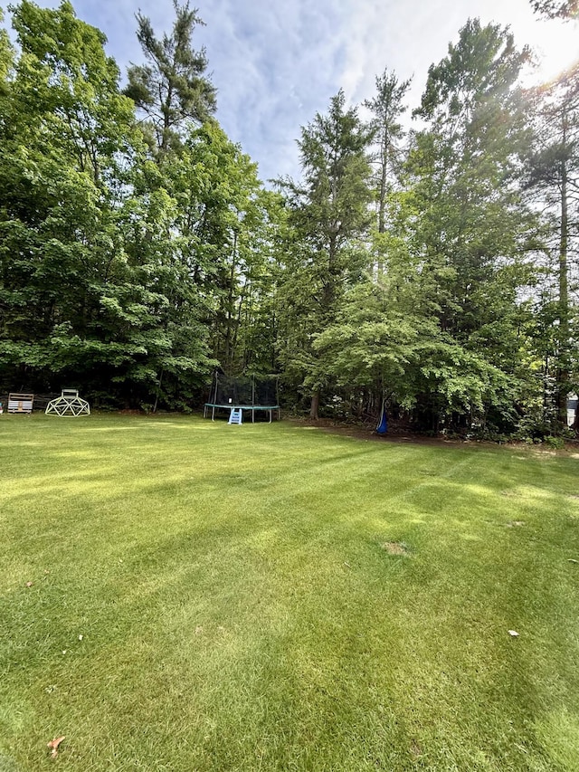 2176 Deepwoods Dr, Gaylord, MI 49735 - view of grassy yard with a trampoline