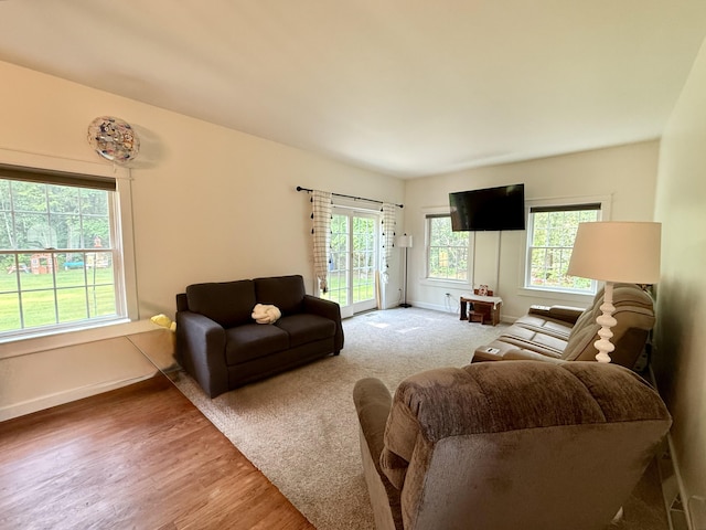 2176 Deepwoods Dr, Gaylord, MI 49735 - living area featuring baseboards and wood finished floors