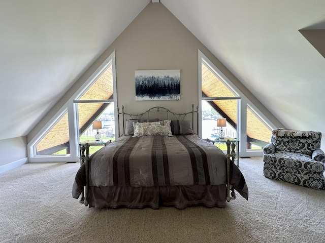 1108 Marina Dr, Cheboygan, MI 49721 - photo 25