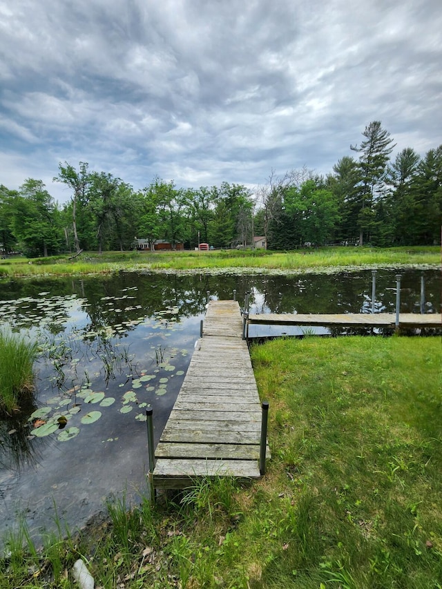 7451 June Ave, Saint Helen, MI 48656 - dock area with a water view