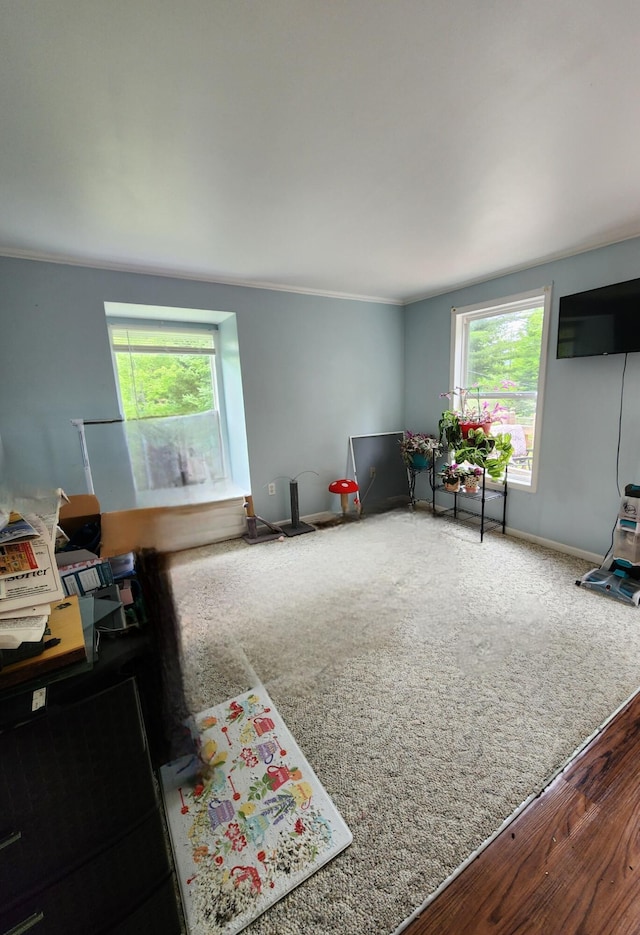 7451 June Ave, Saint Helen, MI 48656 - living area with plenty of natural light and crown molding