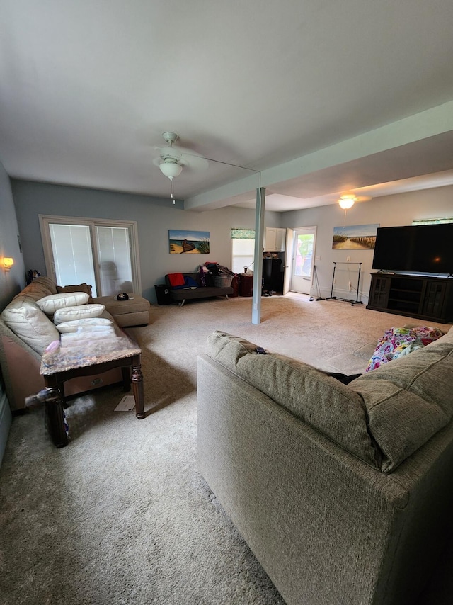 7451 June Ave, Saint Helen, MI 48656 - carpeted living area featuring a ceiling fan