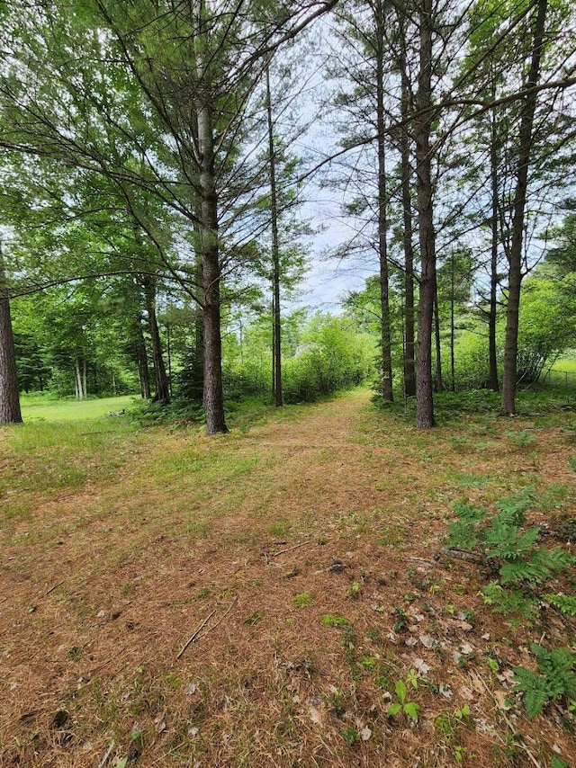 7451 June Ave, Saint Helen, MI 48656 - view of local wilderness