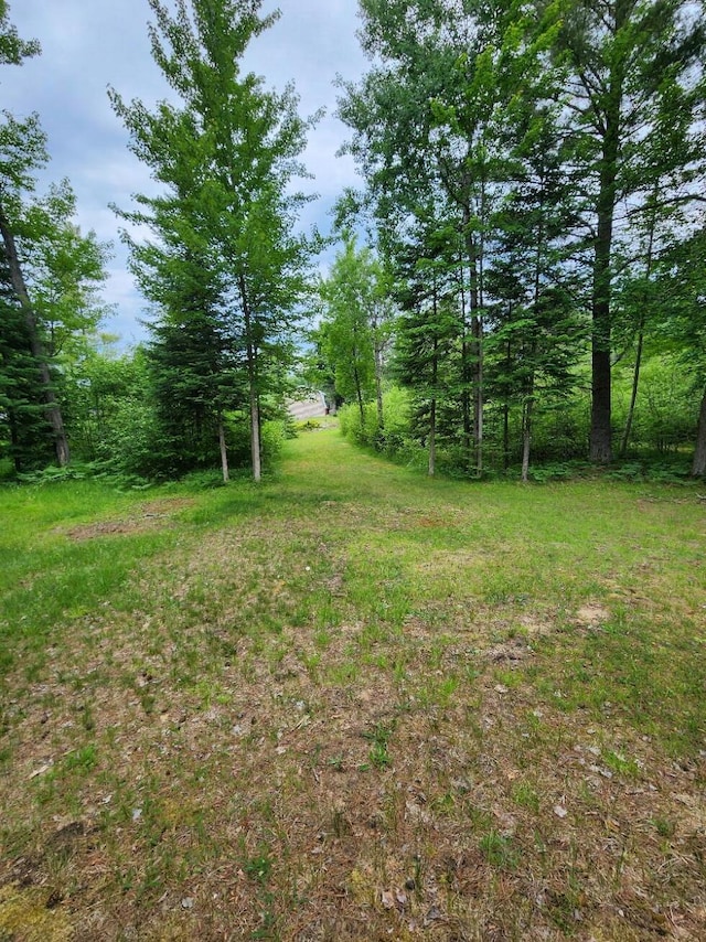 7451 June Ave, Saint Helen, MI 48656 - view of yard