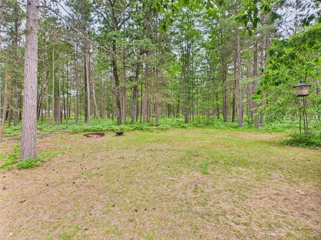 2651 Chipmunk Trl, Grayling, MI 49738 - view of yard featuring a view of trees