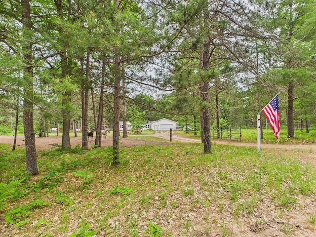 2651 Chipmunk Trl, Grayling, MI 49738 - view of yard with driveway
