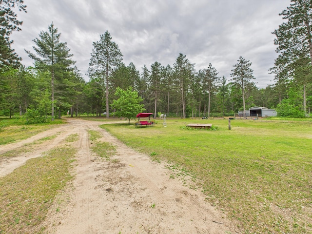 2651 Chipmunk Trl, Grayling, MI 49738 - view of street featuring a forest view