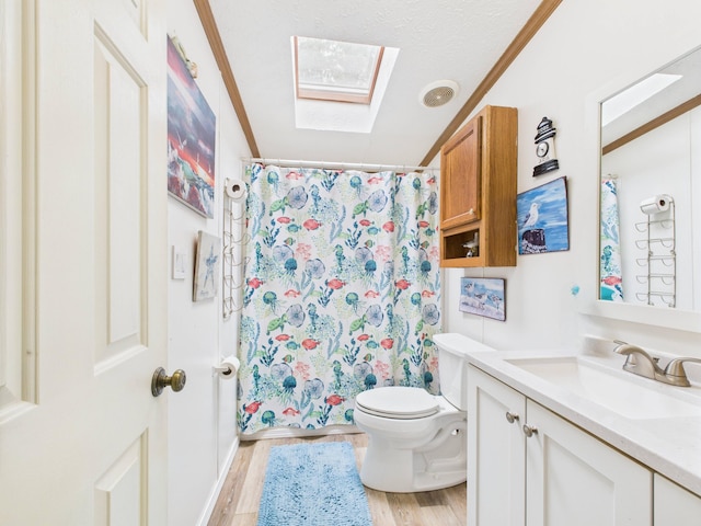 2651 Chipmunk Trl, Grayling, MI 49738 - bathroom featuring a skylight, vanity, wood finished floors, and a shower with shower curtain