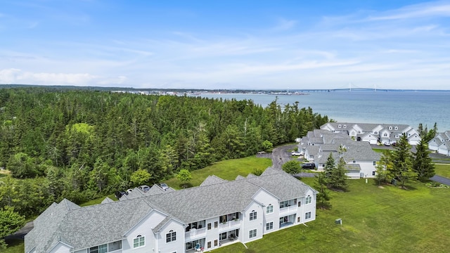 20546 Northern Lights Ln, Mackinaw City, MI 49701 - photo 6