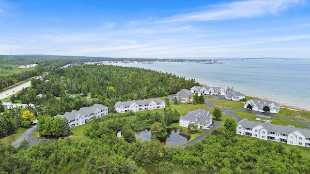 20546 Northern Lights Ln, Mackinaw City, MI 49701 - photo 1