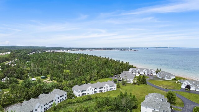 20546 Northern Lights Ln, Mackinaw City, MI 49701 - photo 33