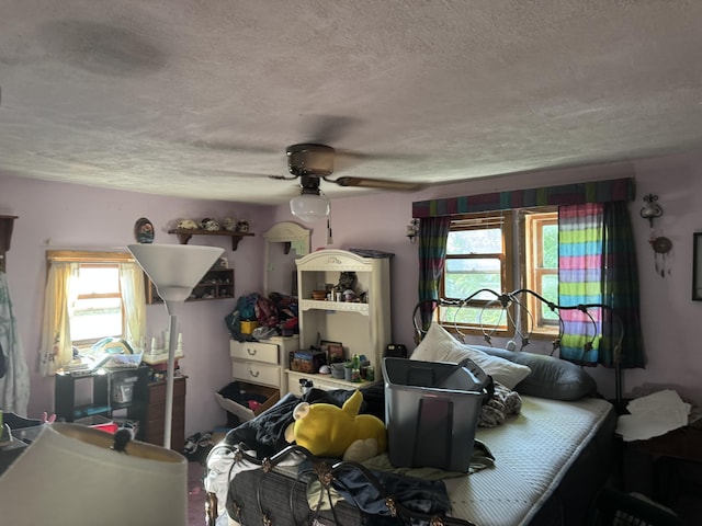 215 W Lake St, Petoskey, MI 49770 - living area with healthy amount of natural light, a textured ceiling, and a ceiling fan