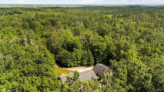 11974 Coyote Run, Gaylord, MI 49735 - photo 55